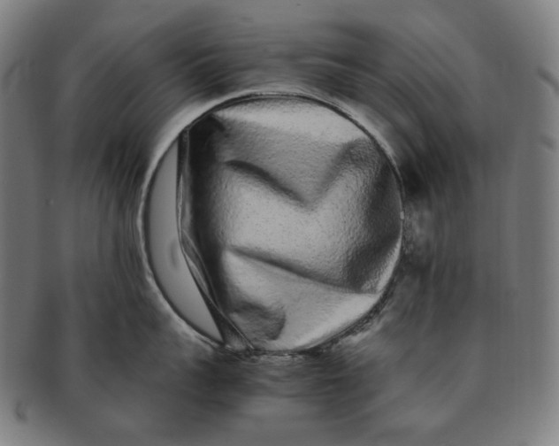 X0000090990959200708241423