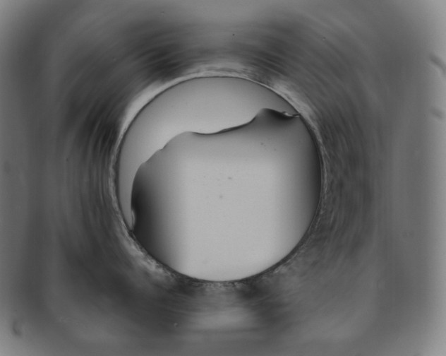 X0000090990960200708241423