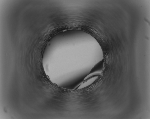 X0000090990961200708241422