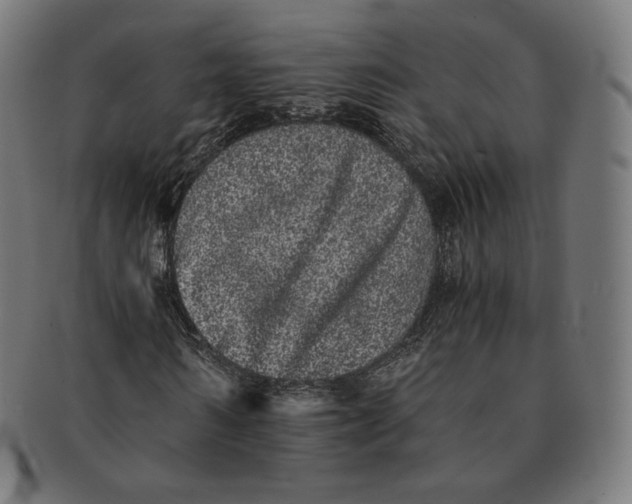 X0000090990962200708241422