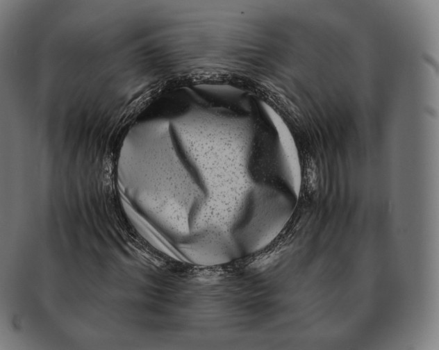 X0000090990964200708241422