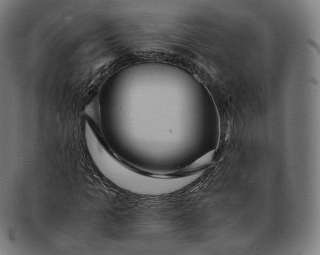 X0000090990965200708241422