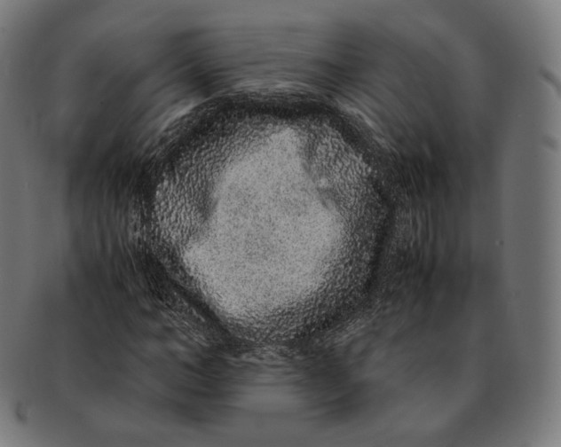 X0000090990966200708241422