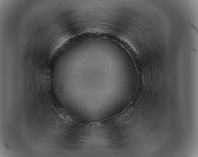 X0000090990968200708241422