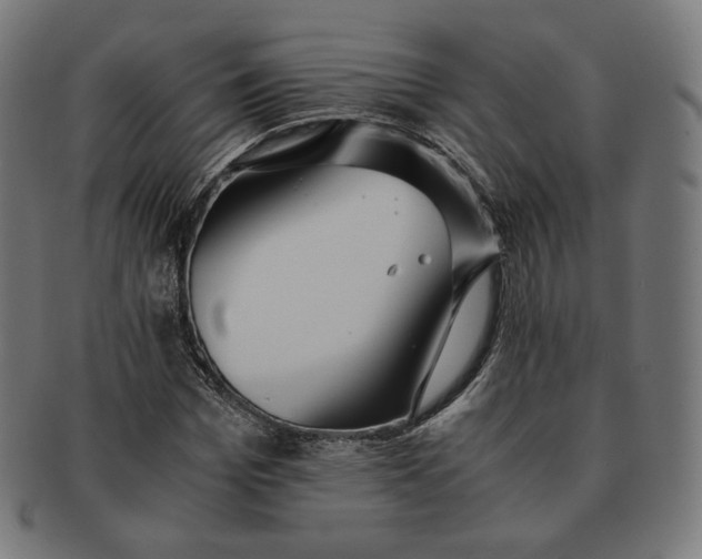 X0000090990969200708241422