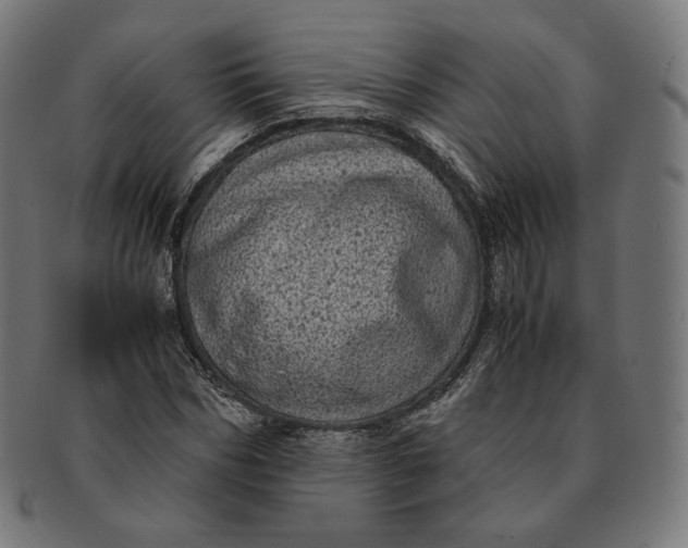 X0000090990970200708241422