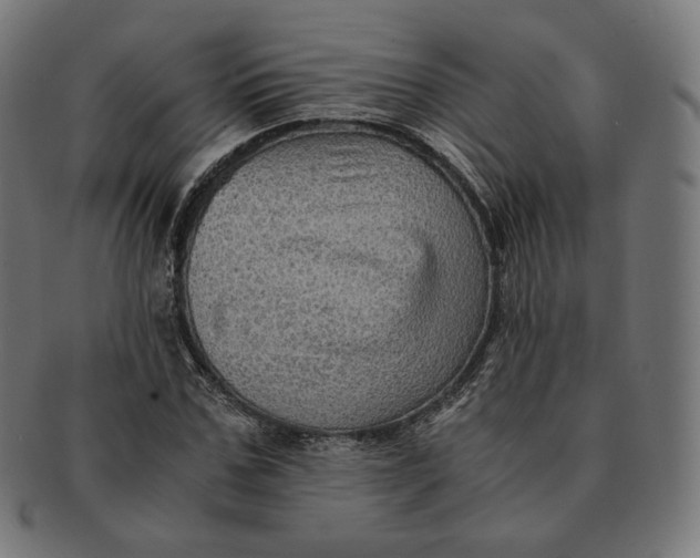 X0000090990971200708241422