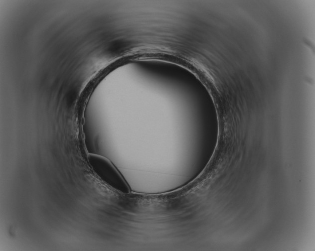 X0000090990973200708241422