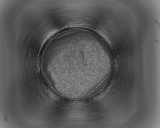 X0000090990974200708241422