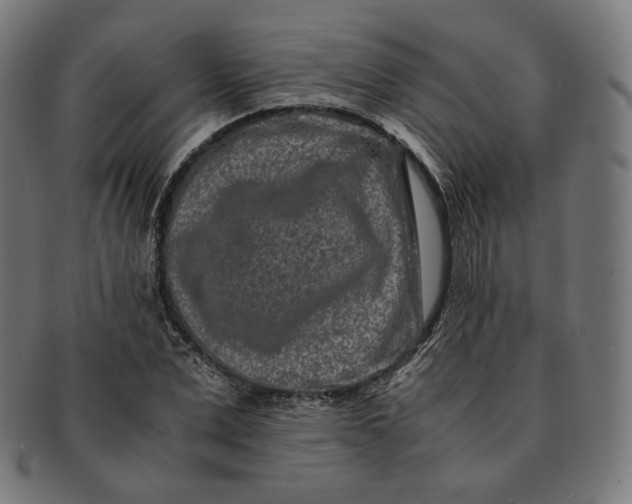 X0000090990975200708241422