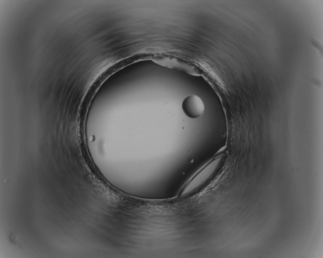 X0000090990976200708241422