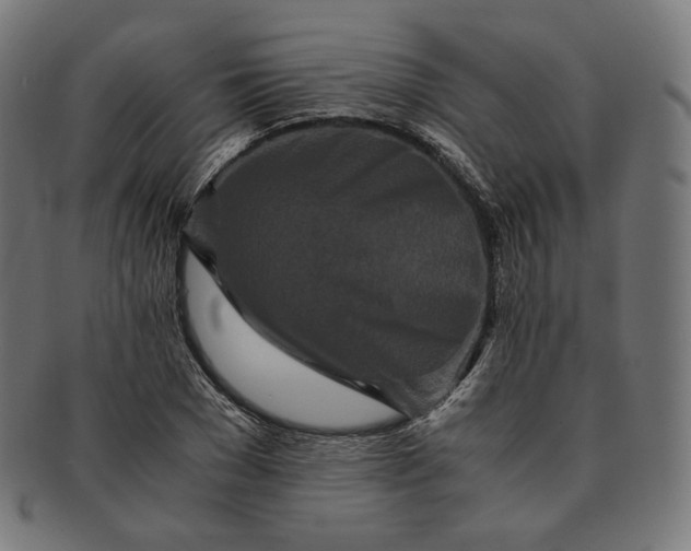 X0000090990977200708241422