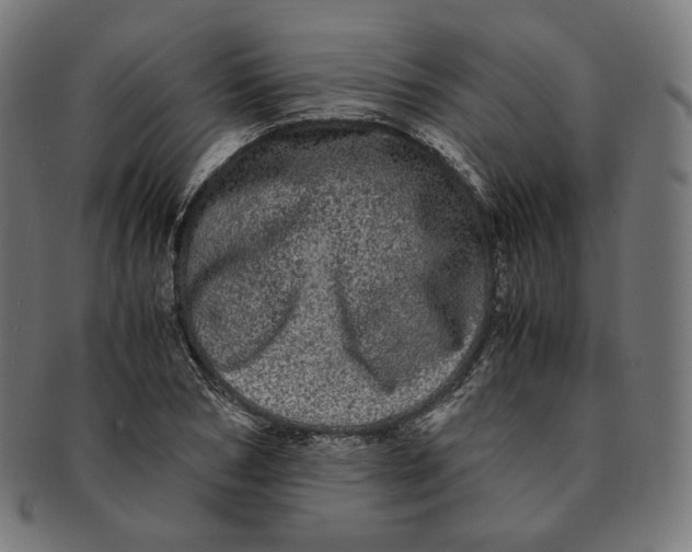 X0000090990978200708241422