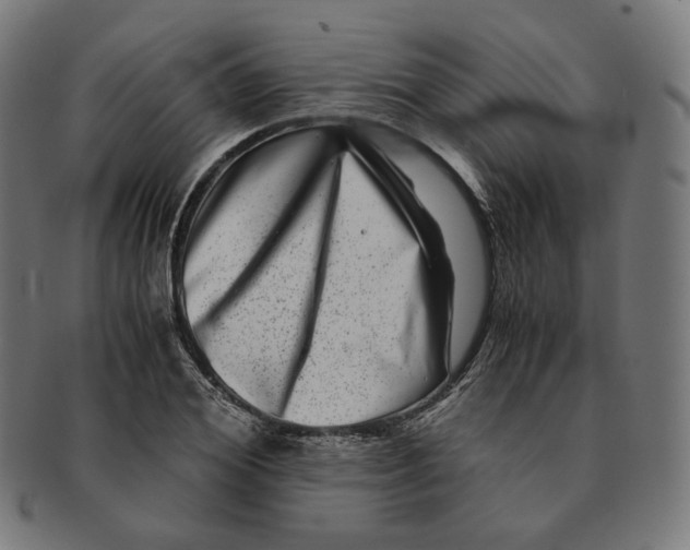 X0000090990980200708241422