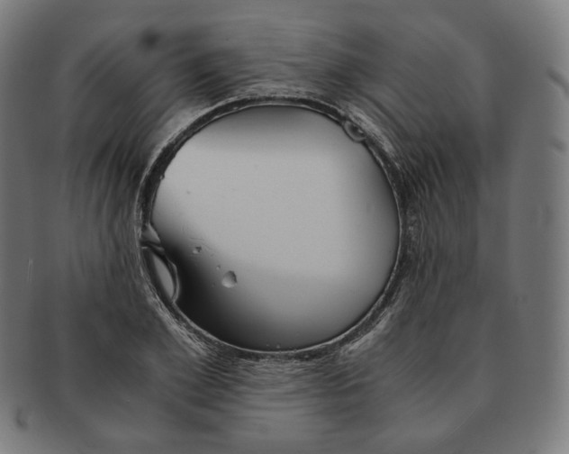 X0000090990981200708241422