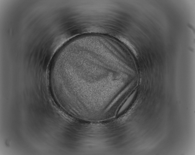 X0000090990983200708241422