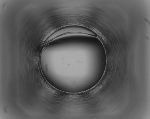 X0000090990985200708241422