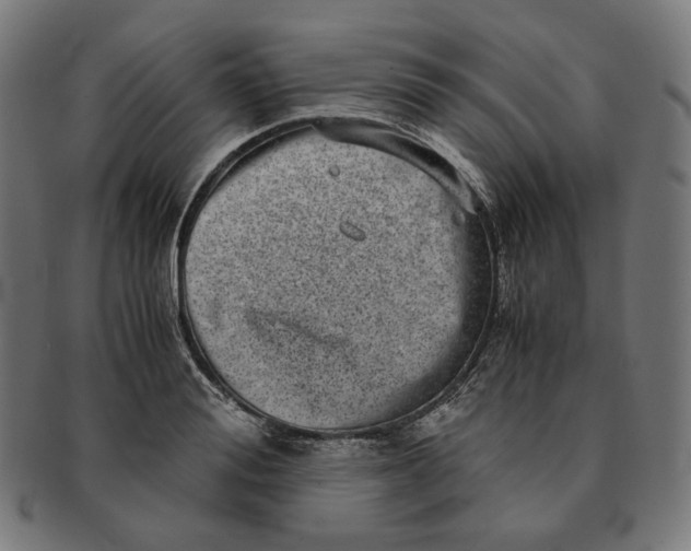 X0000090990988200708241422