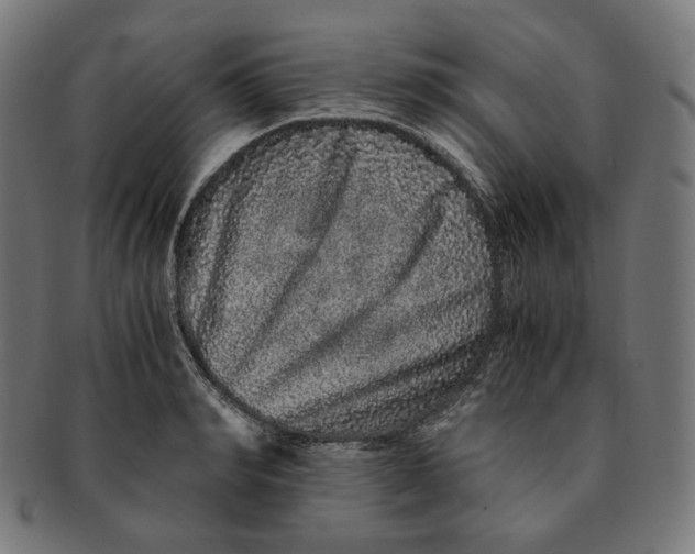 X0000090990990200708241422