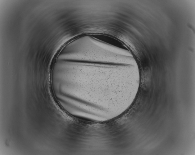 X0000090990992200708241422