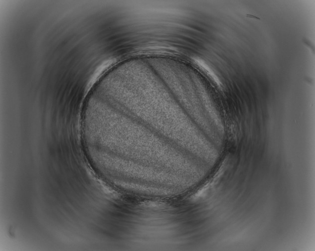 X0000090990994200708241422