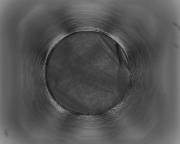 X0000090990995200708241422