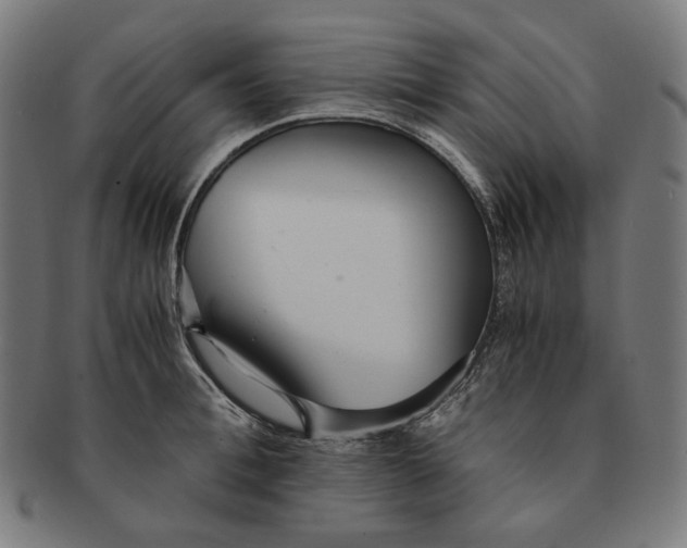 X0000090990996200708241422