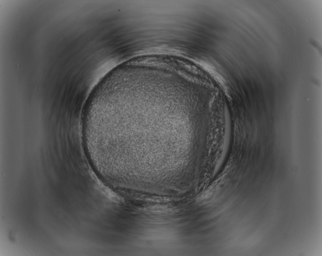 X0000090990998200708241421