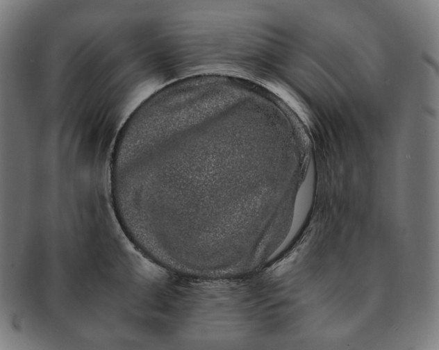 X0000090990999200708241421