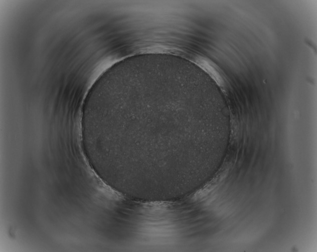 X0000090991000200708241421