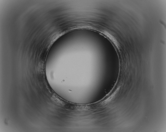 X0000090991001200708241421