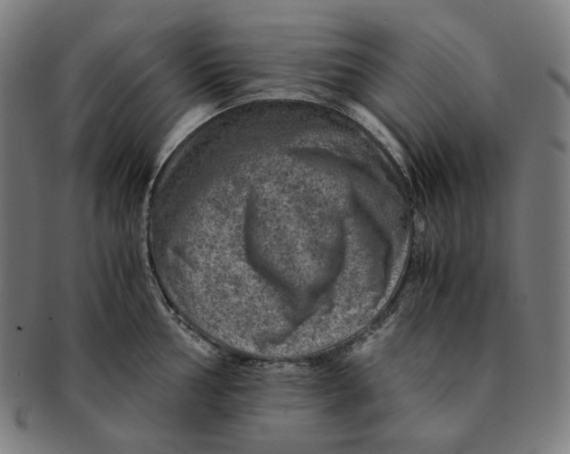 X0000090991002200708241421