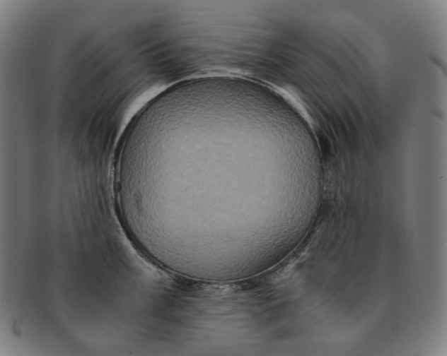 X0000090991003200708241421