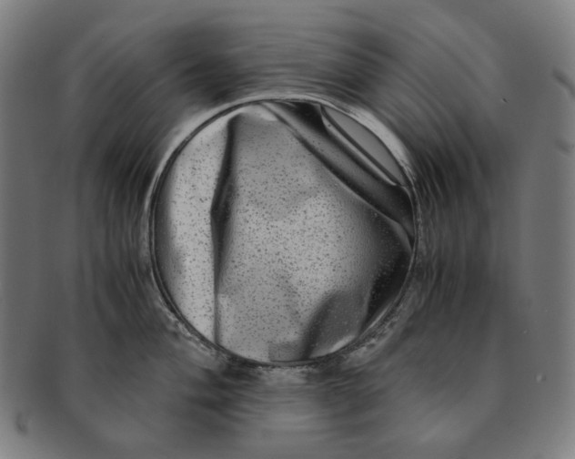 X0000090991004200708241421