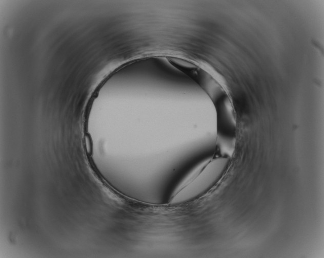 X0000090991005200708241421