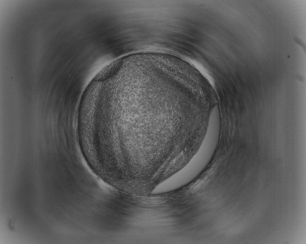 X0000090991007200708241421