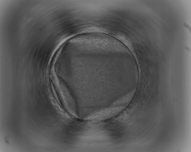 X0000090991008200708241421