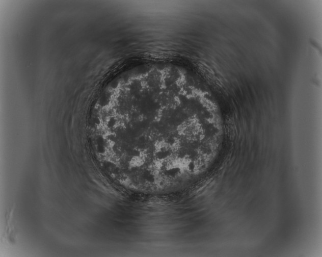 X0000090991009200708241421