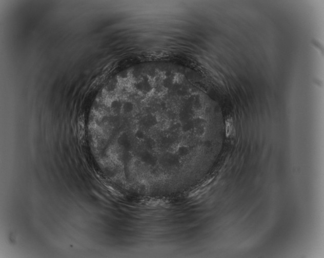 X0000090991011200708241421