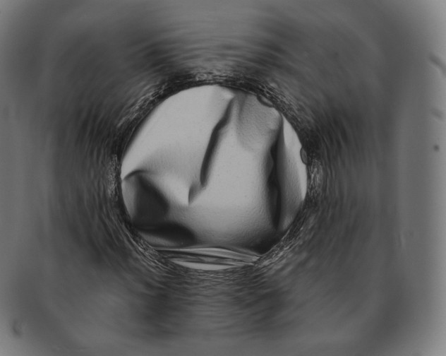 X0000090991012200708241421