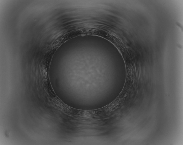 X0000090991013200708241421