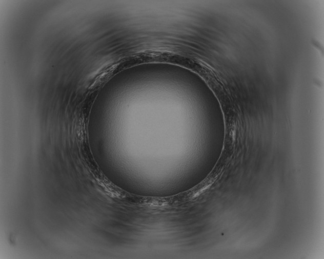 X0000090991014200708241421