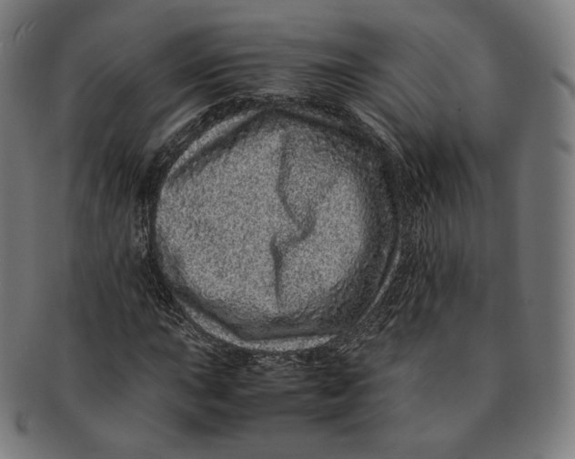 X0000090991015200708241421