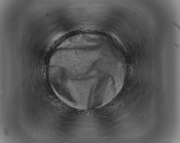 X0000090991016200708241421