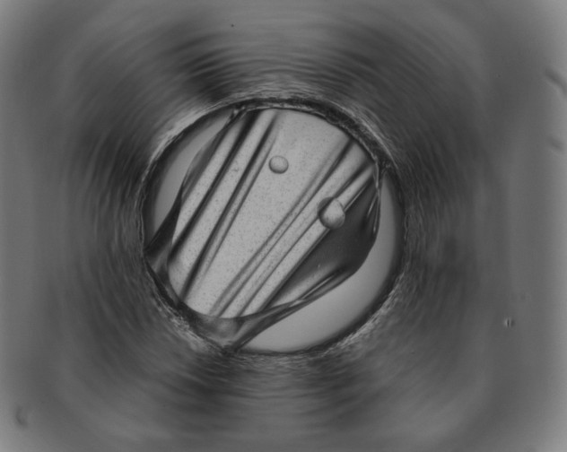 X0000090991018200708241421