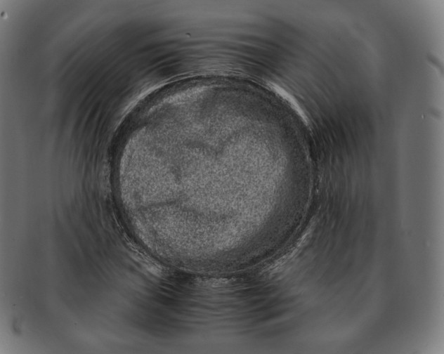 X0000090991019200708241421