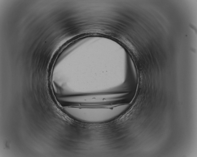 X0000090991020200708241421