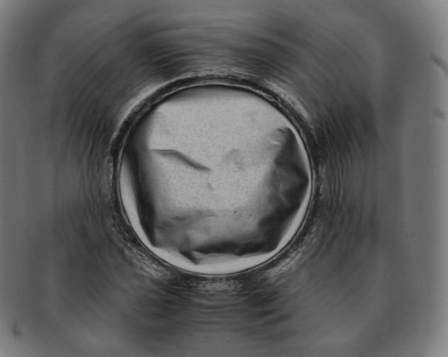 X0000090991021200708241421