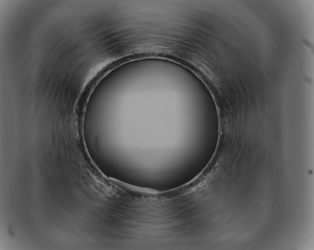 X0000090991022200708241421