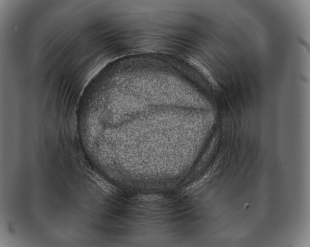 X0000090991023200708241421